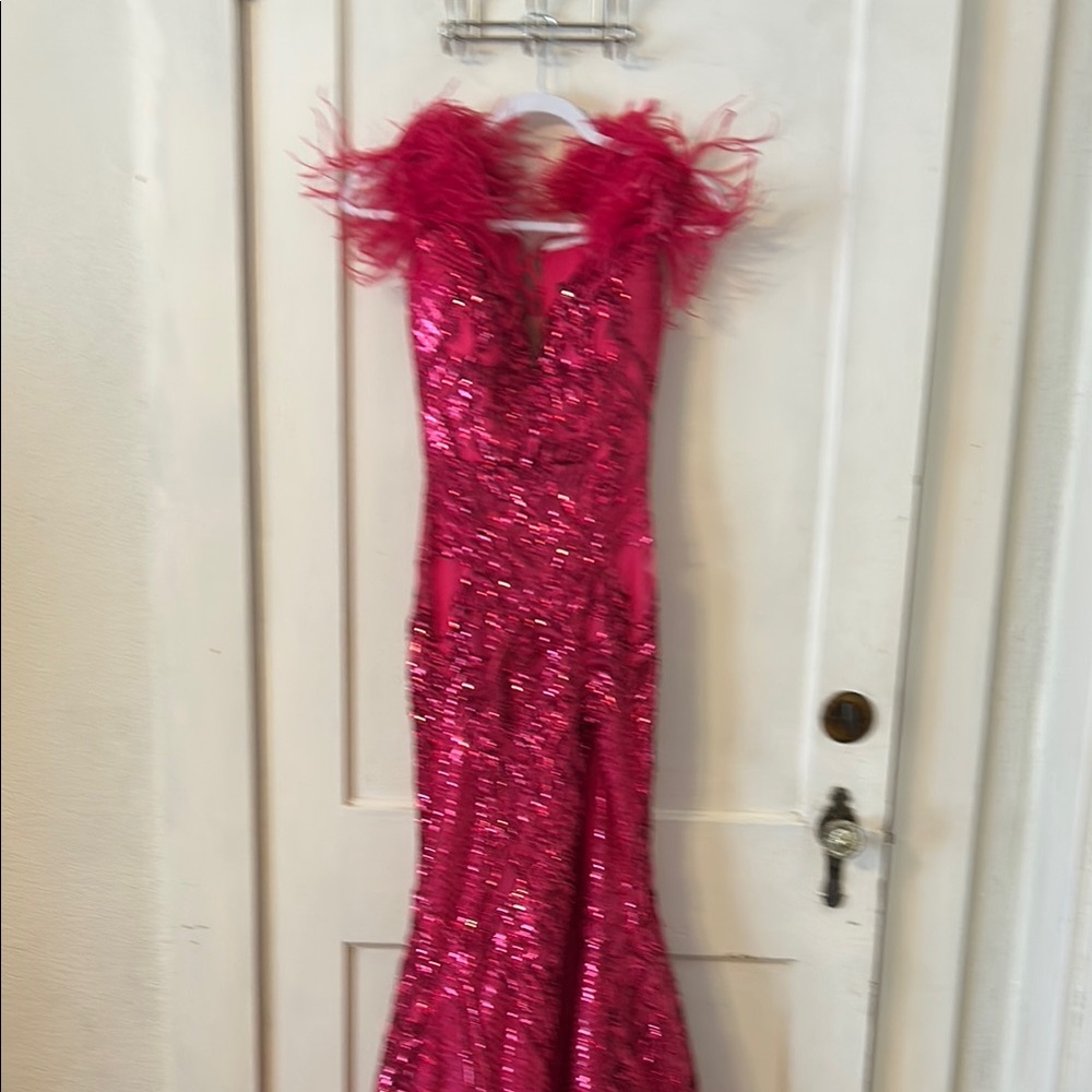 Glamorous Fuchsia Feathered Sequin Gown